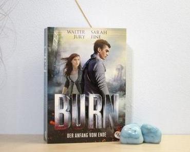 Rezension | BURN – Der Anfang vom Ende von Walter Jury und Sarah Fine