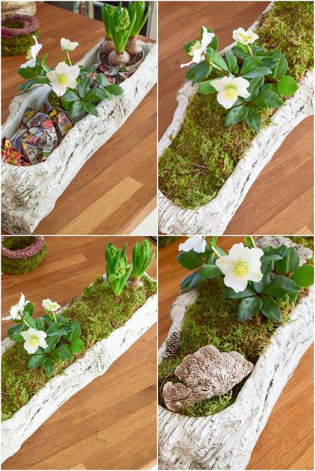 DIY Deko Schale für den Frühling mit Christrose, Hyazinthe und Moos. Kreativ Selbermachen Basteln mit Naturmaterialien. Naturdeko einfach, schnell und schön fürs Frühjahr