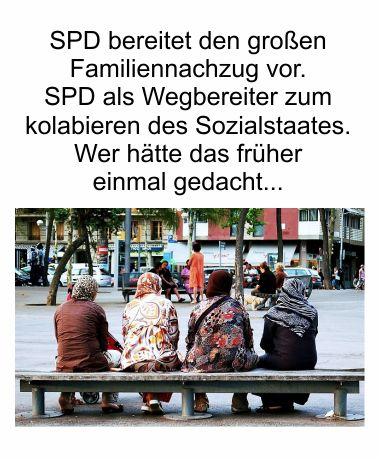 Die SPD kann den großen Familiennachzug nicht schnell genug bekommen. SPD als Totengräber des Sozialstaates, wer hätte das früher einmal gedacht