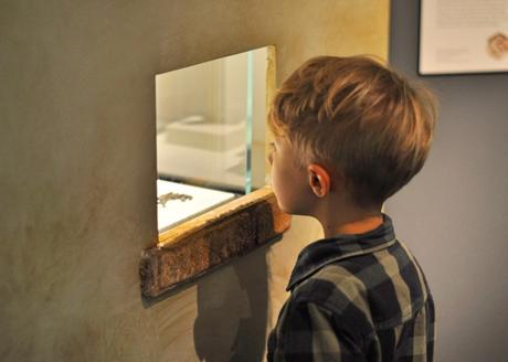 Robin Hood zum Anfassen – Ausstellung für Kinder im Historischen Museum Speyer