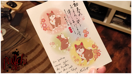 Hachiko Postkarte