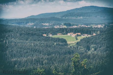 Richie´s Blick auf die Welt #Haidmühle #BayerischerWald #Natur