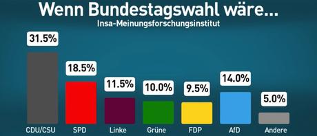 Insa-Umfrage: SPD sackt auf 18,5 Prozent ab