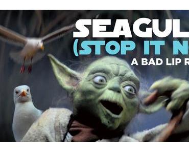 #0755 [Spotlight] SEAGULLS! (Stop It Now)