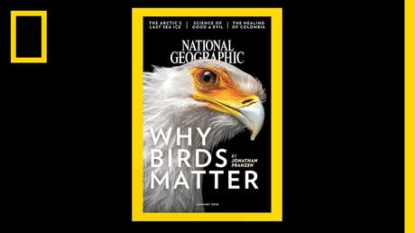 National Geographic Cover der letzten 130 Jahre