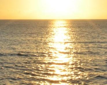wallpaper-1689754