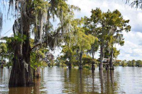 Louisiana Sehenswürdigkeiten – Meine schönsten Highlights und Tipps