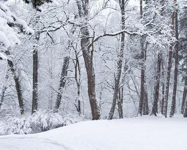 #natureknowsbest: Husten-Bonbons einfach selbermachen