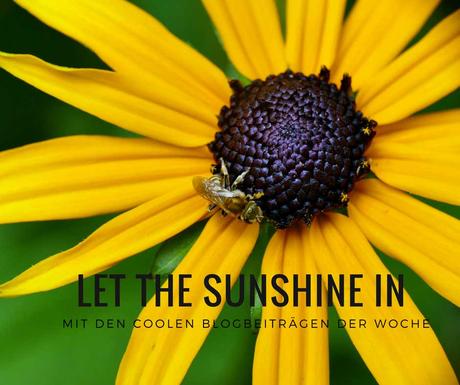 let the sunshine in 