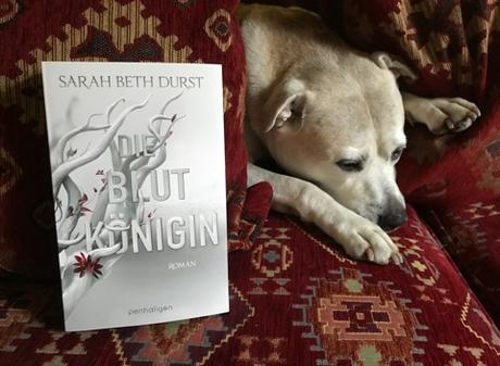 Sarah Beth Durst - Die Blutkönigin