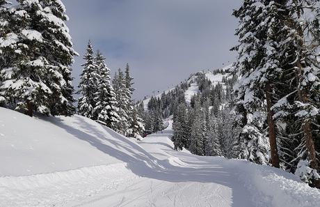 Ski amade – made my Day Aufladen in Dorfgastein