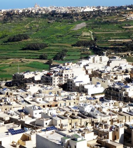 Malta: glühende Flossen in Gozo