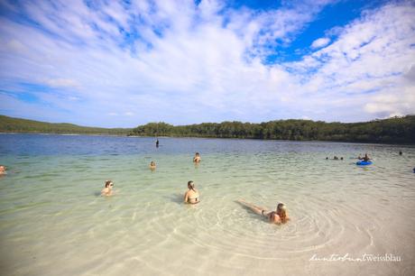 Fraser Island 1 Day Tour