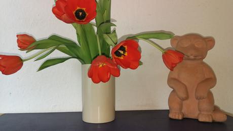 Foto: Tulpen und Erdmännchen