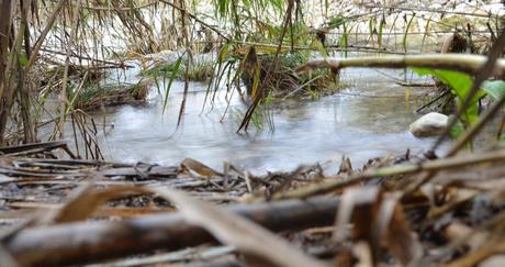 Auch 2018 – Naturattraktion „Ses Fonts Ufanes“ sprudeln wieder