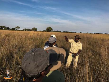 Okavango Delta – Safari zu Fuß und mit dem Mokoro