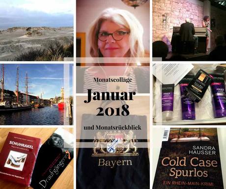 Januar 2018 Monatsrücblick