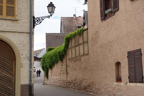 Eguisheim - Elsass - Natur
