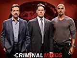 Criminal Minds - Staffel 9 [dt./OV]