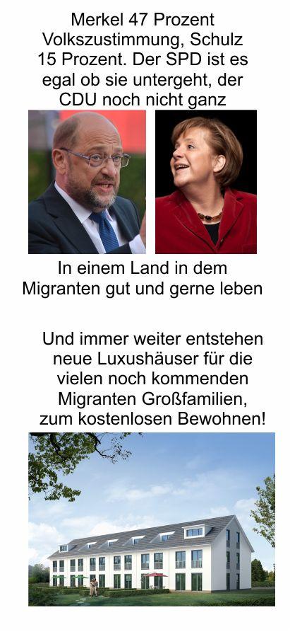 Der SPD ist es egal ob sie untergeht, der CDU noch nicht ganz. Merkel 47 %, Schulz 15 % Volkszustimmung. Viele neue Jobs zur Flüchtlingsbetreuung und wieder neue Häuser