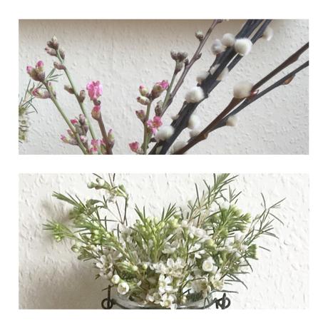 Friday-Flowerday – oder – Ein bisschen Winter, ein bisschen Frühling