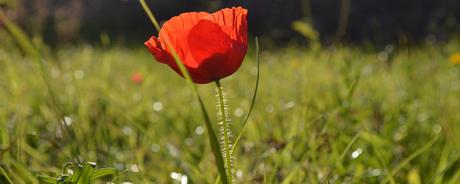 Kalenderblatt | 02.02.2018