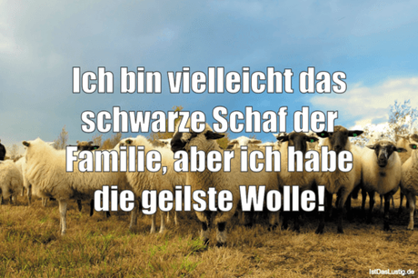 Lustiger BilderSpruch - Ich bin vielleicht das schwarze Schaf der...