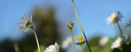 Kalenderblatt | 03.02.2018