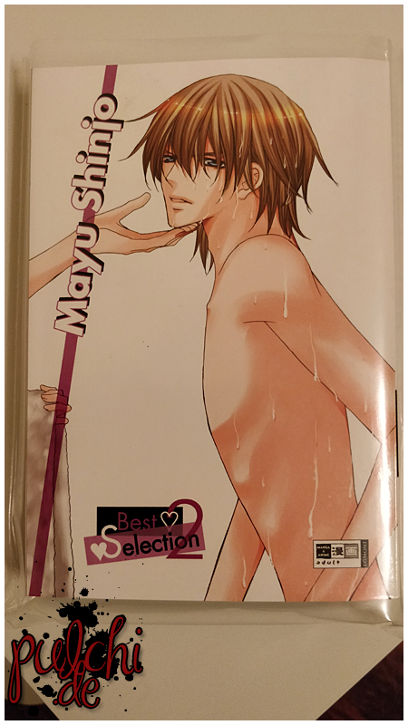 Best Selection ~ Mayu Shinjo 2