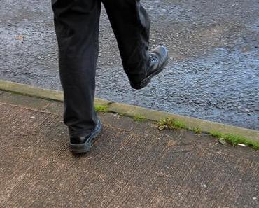 the.daily.pedestrian 35 | 365  one pic a day 2018
