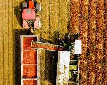 Italien auf der Zunge – Tomaten aus Parma [Werbung]