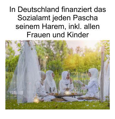 In Arabien muss der Pascha seine Großfamilie, inkl. Harem, selbst versorgen, in Deutschland übernimmt es das Sozialamt (Steuerzahler)
