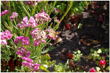 #0773 [On Tour] Berlin 2016 ~ Part 2