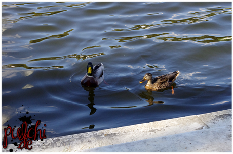 #0773 [On Tour] Berlin 2016 ~ Part 2