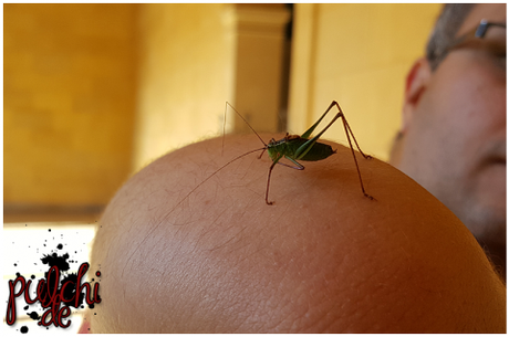 #0773 [On Tour] Berlin 2016 ~ Part 2