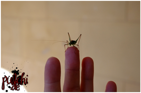 #0773 [On Tour] Berlin 2016 ~ Part 2