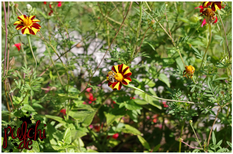 #0773 [On Tour] Berlin 2016 ~ Part 2