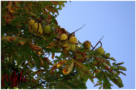 #0773 [On Tour] Berlin 2016 ~ Part 2