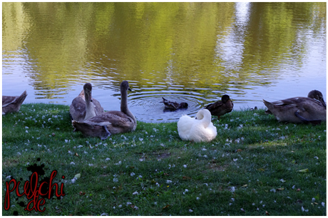 #0773 [On Tour] Berlin 2016 ~ Part 2