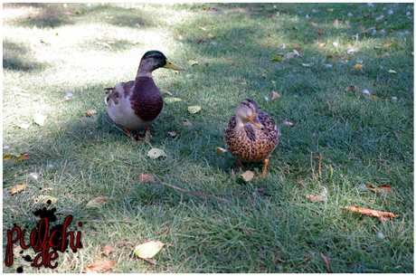 #0773 [On Tour] Berlin 2016 ~ Part 2