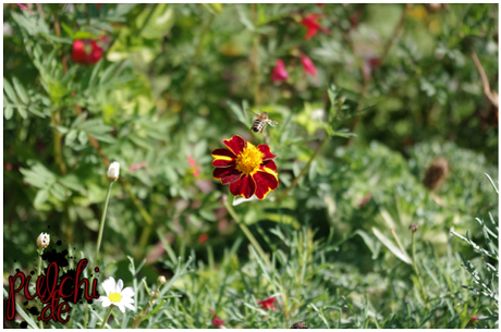 #0773 [On Tour] Berlin 2016 ~ Part 2