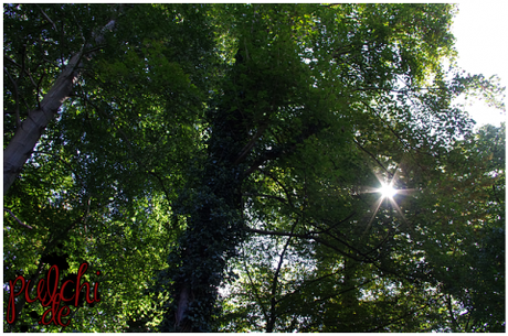 #0773 [On Tour] Berlin 2016 ~ Part 2