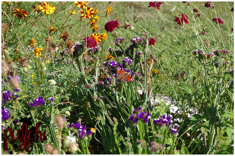 #0773 [On Tour] Berlin 2016 ~ Part 2