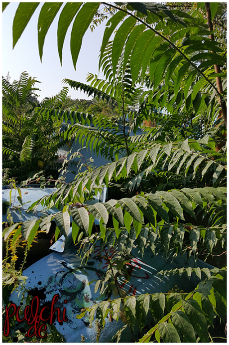 #0773 [On Tour] Berlin 2016 ~ Part 2