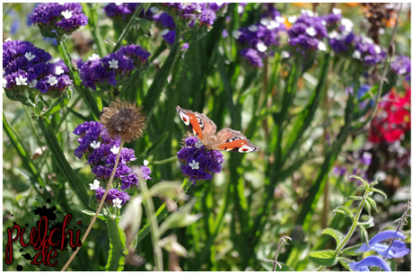 #0773 [On Tour] Berlin 2016 ~ Part 2