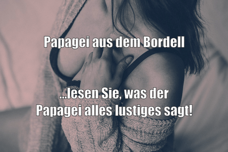 Story: Papagei aus dem Bordell