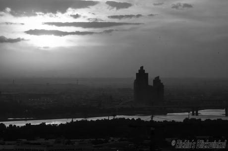 Richie´s Blick auf die Welt #schwarz/weiß #Fotografie #Bilder