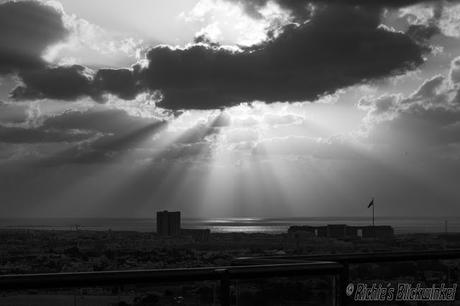 Richie´s Blick auf die Welt #schwarz/weiß #Fotografie #Bilder