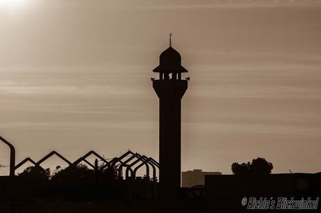 Richie´s Blick auf die Welt #schwarz/weiß #Fotografie #Bilder