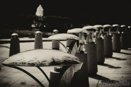 Richie´s Blick auf die Welt #schwarz/weiß #Fotografie #Bilder